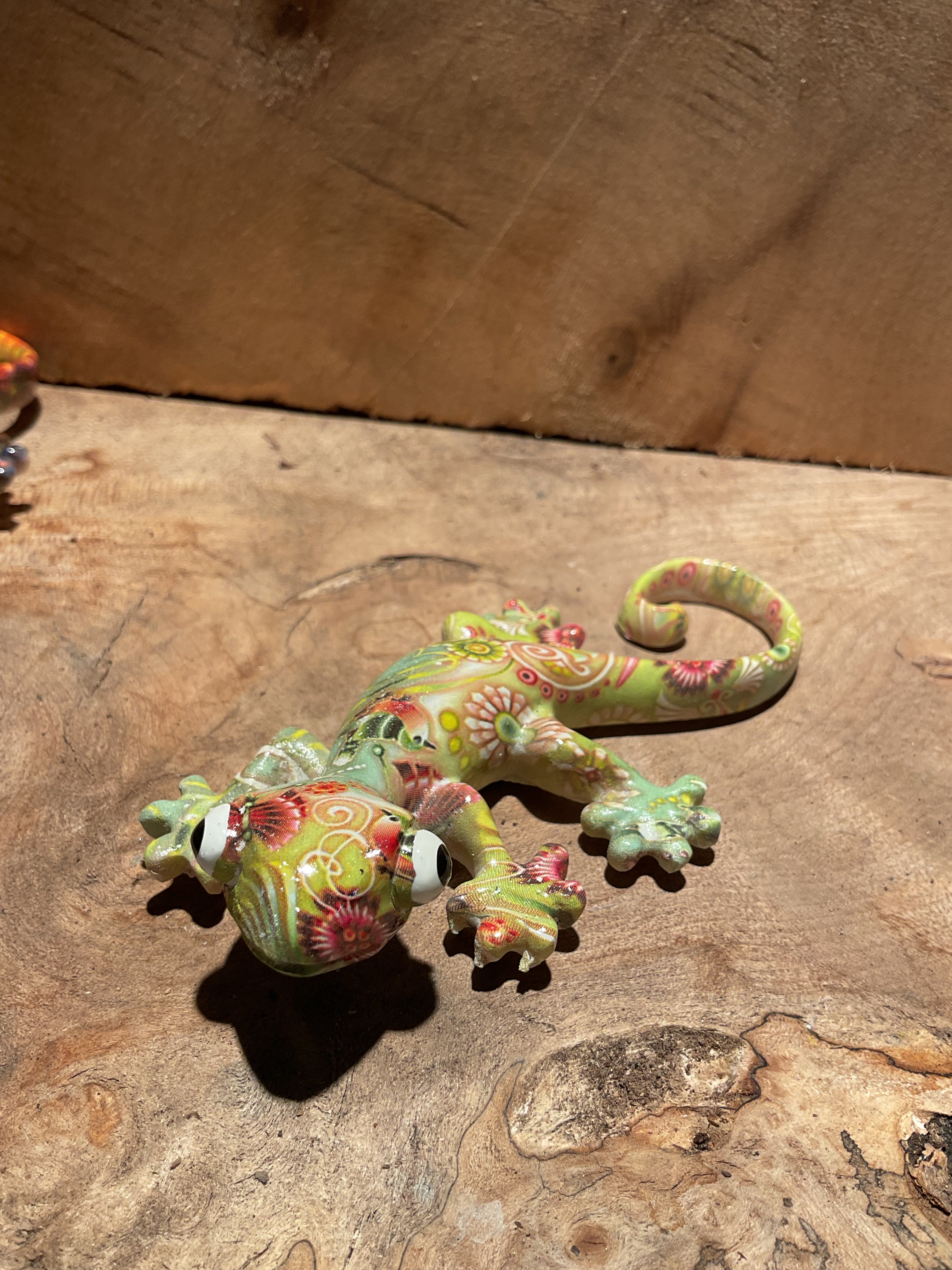 Vibrant Geckos