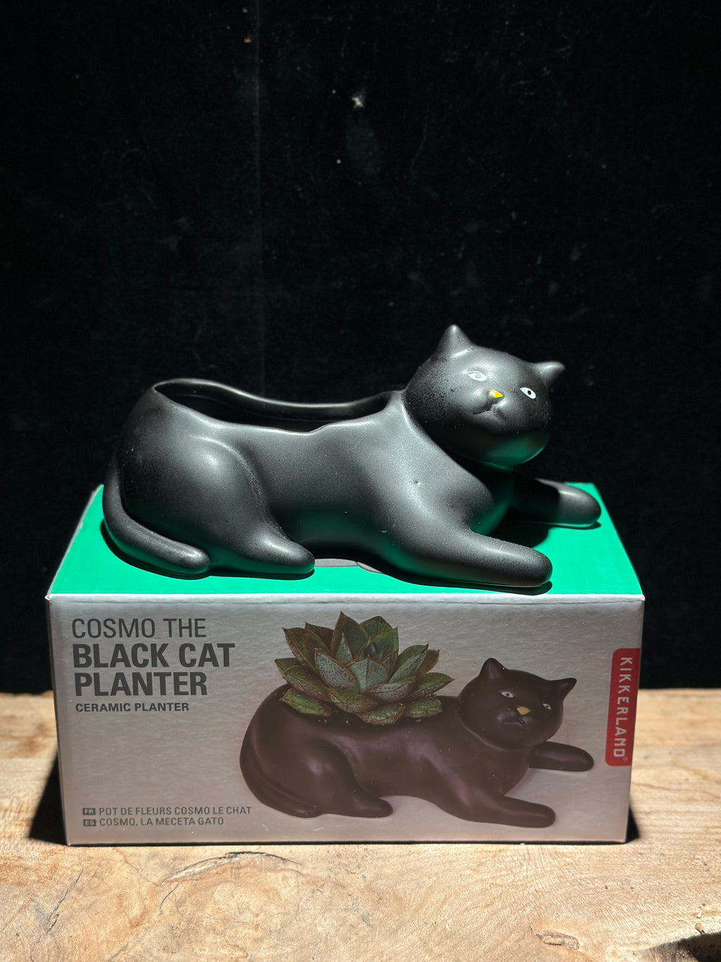 Cat Planter