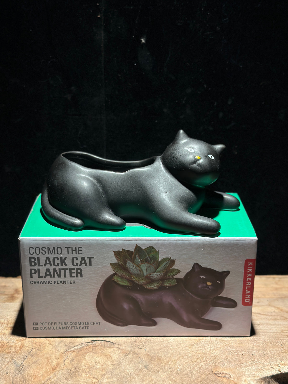 Cat Planter
