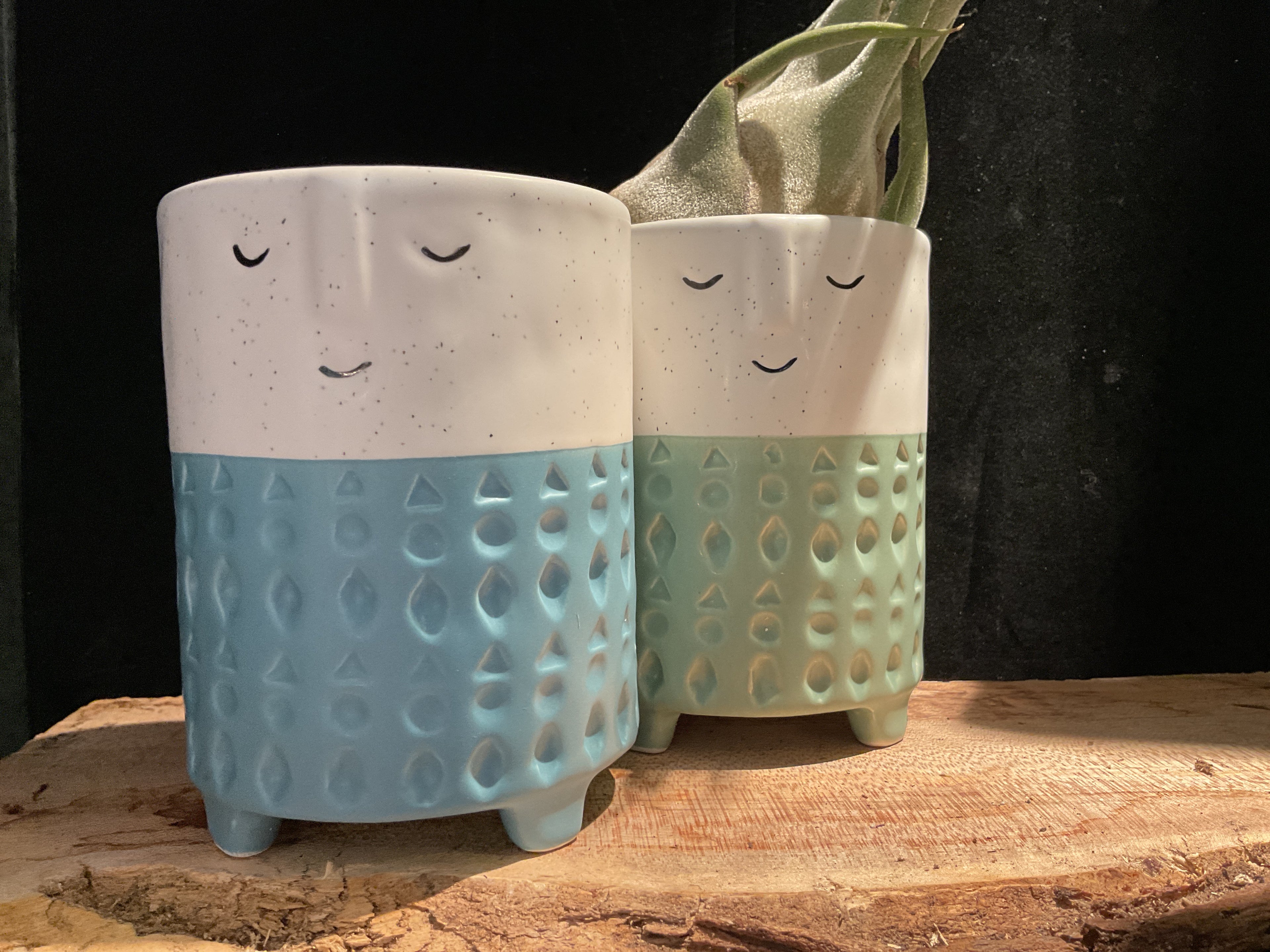Face Planter with Stripe