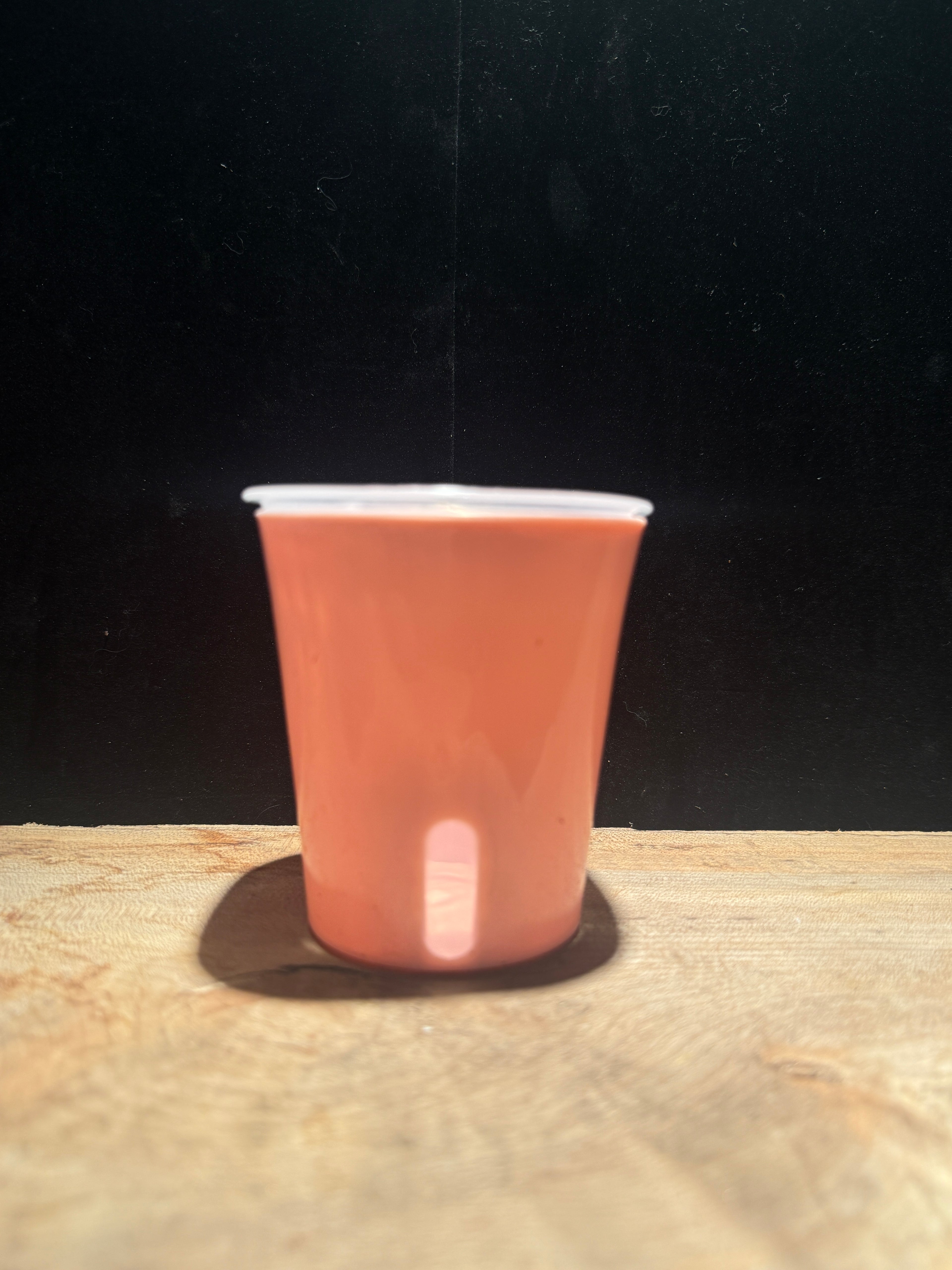 Light Pink Self-Watering Planter Pot – Reservoir Base