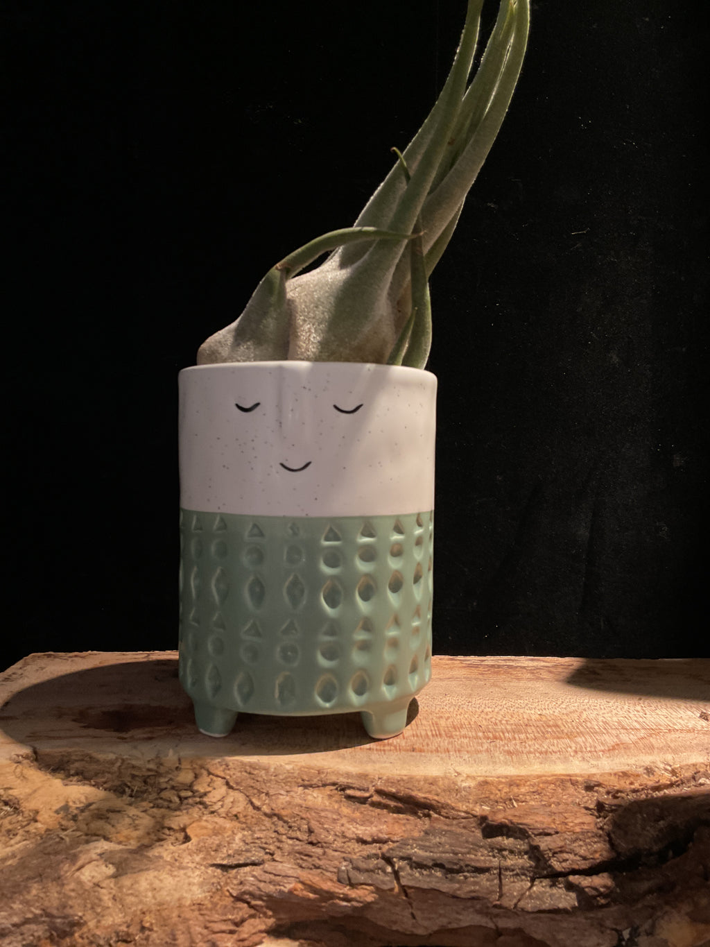 Face Planter with Stripe