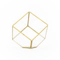 Heptahedron Geometric Glass Terrarium