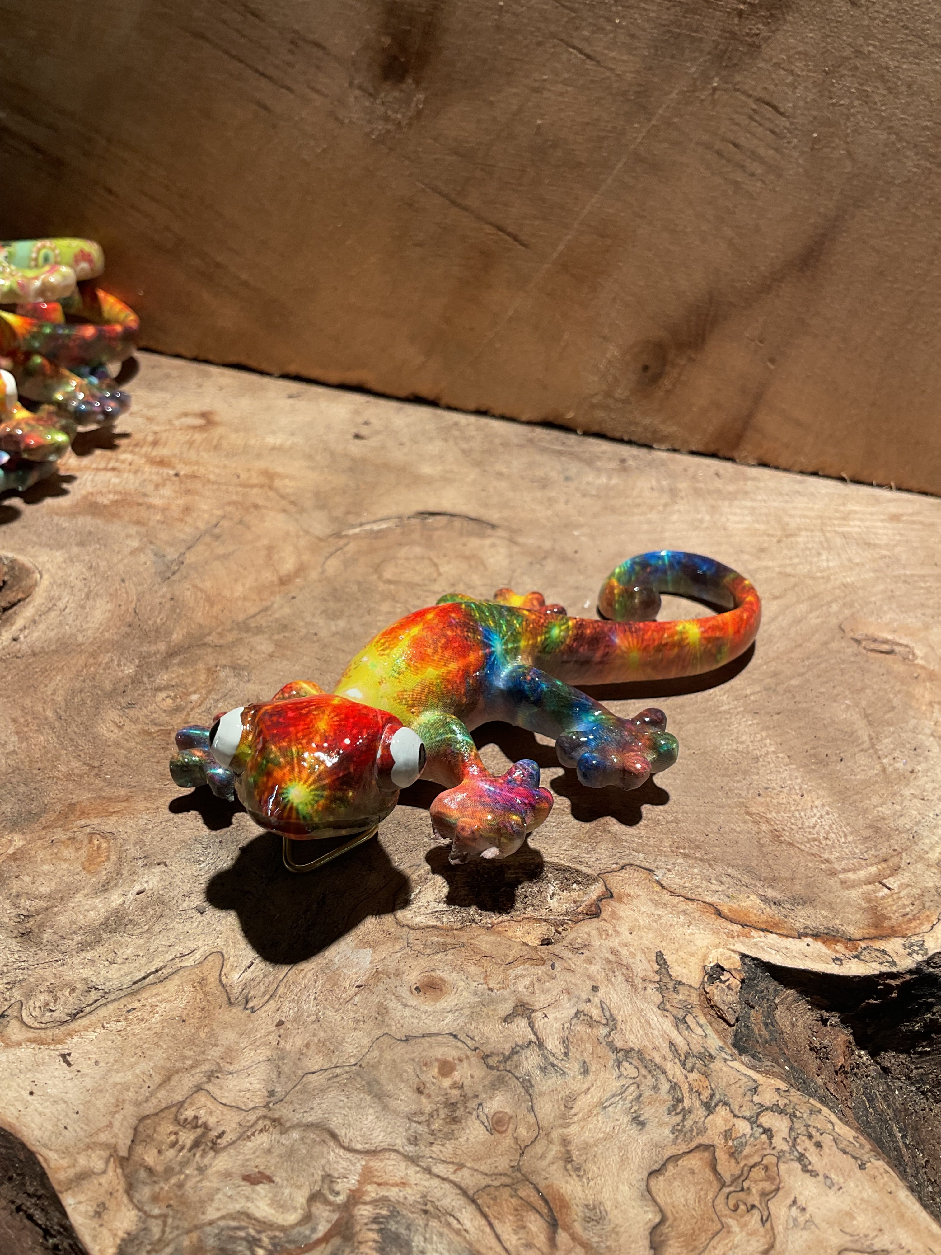 Vibrant Geckos