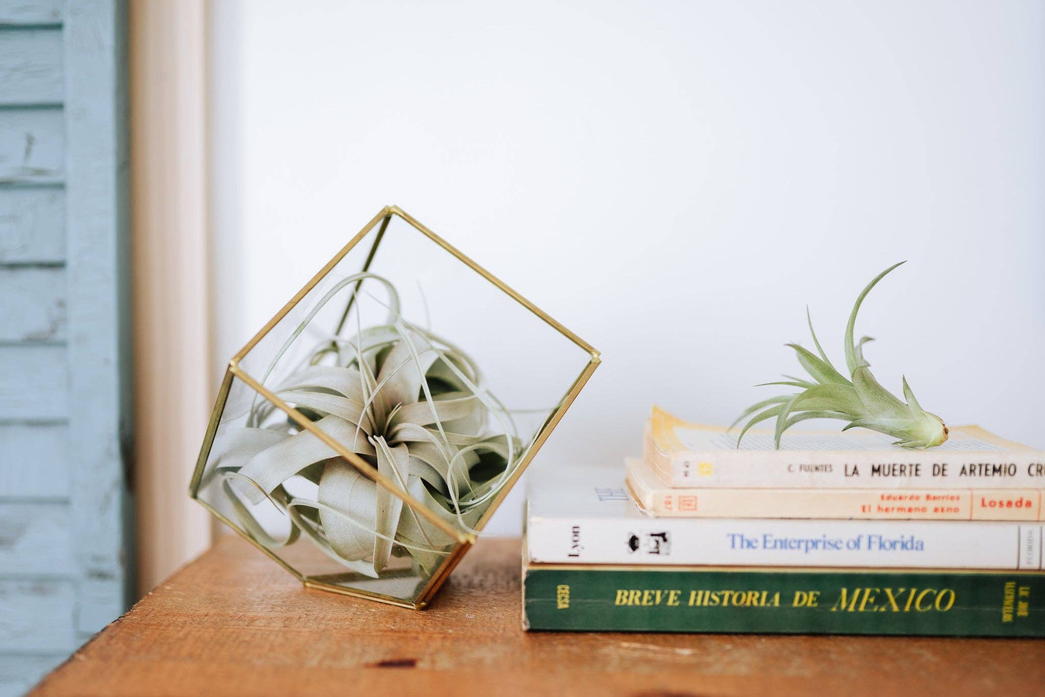 Heptahedron Geometric Glass Terrarium
