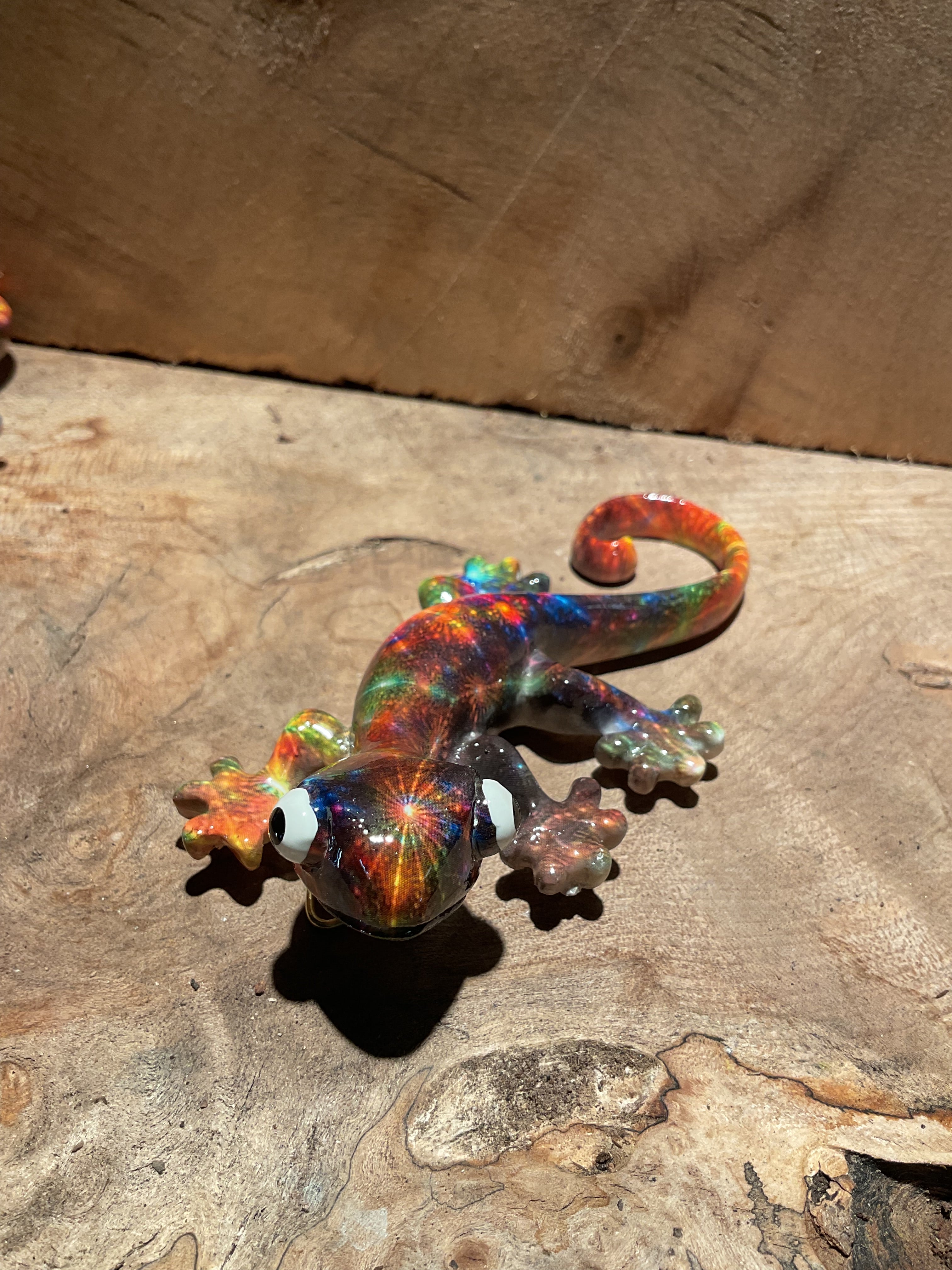 Vibrant Geckos