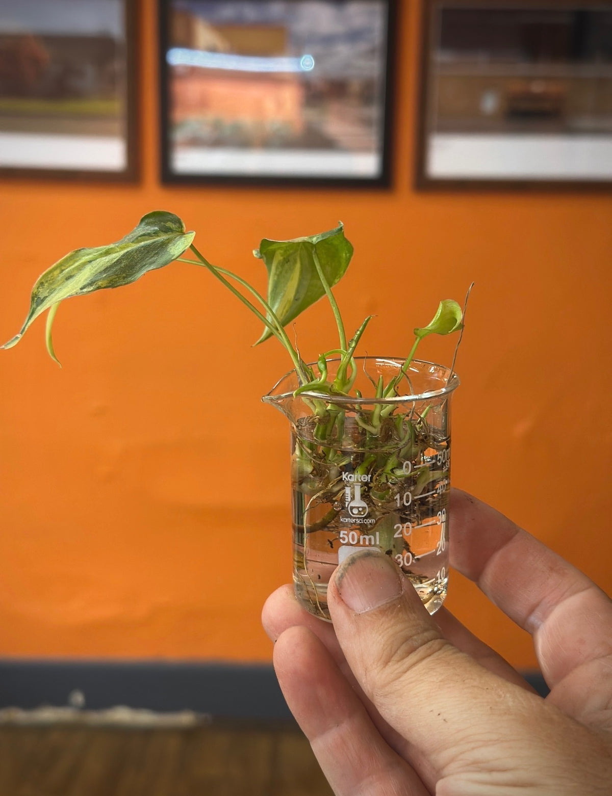 Propagation 101-102. Round Table Event 10/14/26. 7-9pm