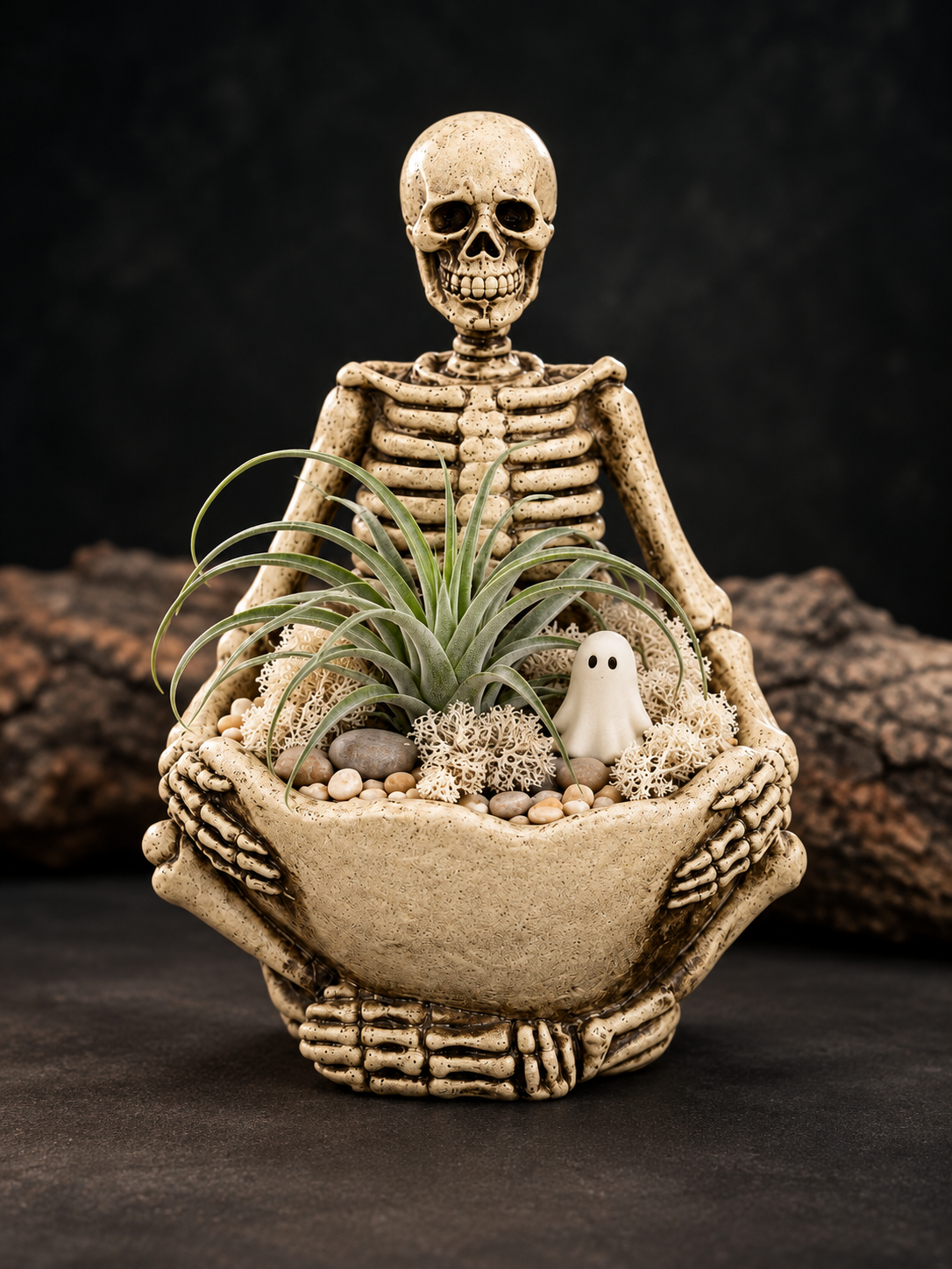 Spooky Air Plant Gardens- Drop In Craft at Fright and Bite 10am-5pm October 17th